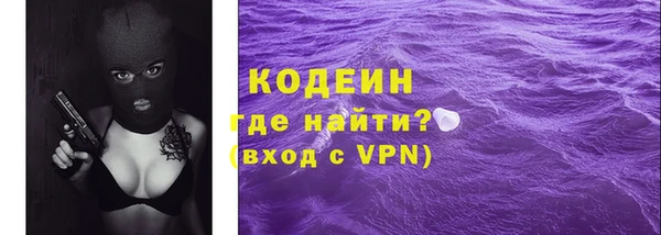 крисы Кулебаки
