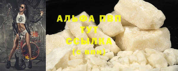 сатива Корсаков