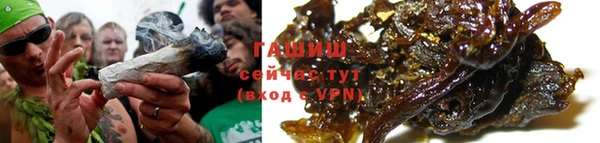 крисы Кулебаки