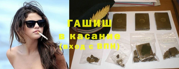 крисы Кулебаки