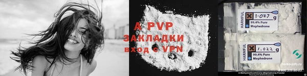 стаф Коряжма