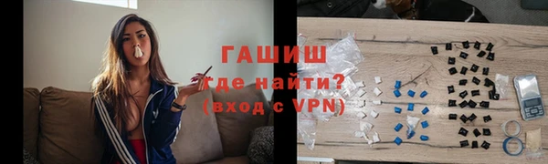 крисы Кулебаки