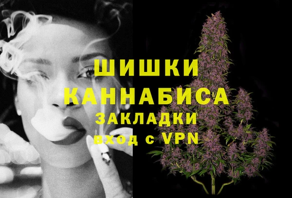 сатива Корсаков