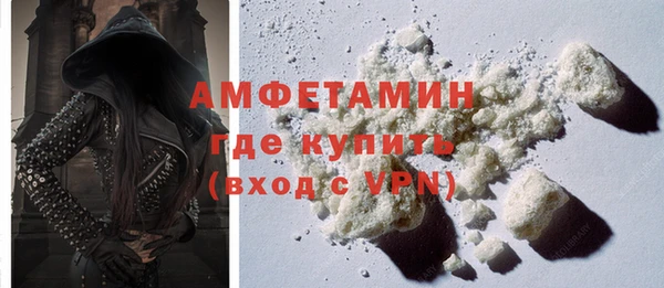 крисы Кулебаки
