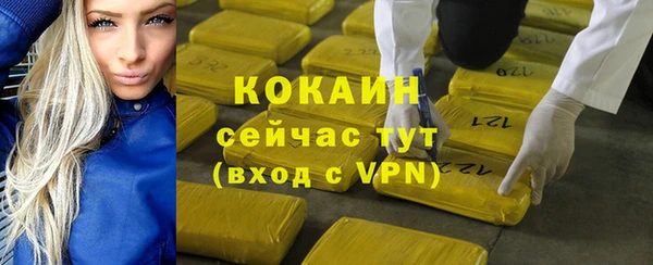 крисы Кулебаки