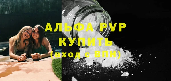 стаф Коряжма