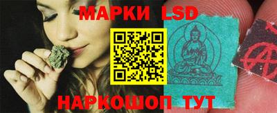 гидропоника Гусев
