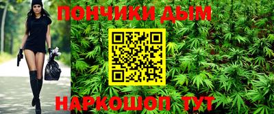 гидропоника Гусев