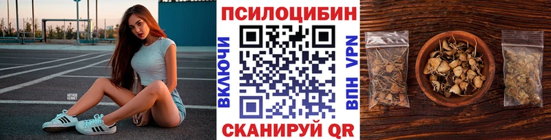 Галлюциногенные грибы Cubensis  blacksprut   Михайловка  цены  