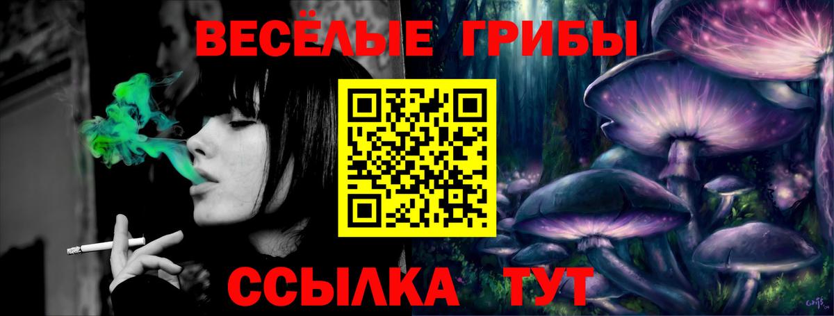 Псилоцибиновые грибы Psilocybine cubensis Михайловка