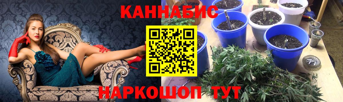 Бошки марихуана THC 21%  Марихуана Amnesia  МАРИХУАНА White Widow  Вход с VPN  Марихуана конопля  Михайловка 